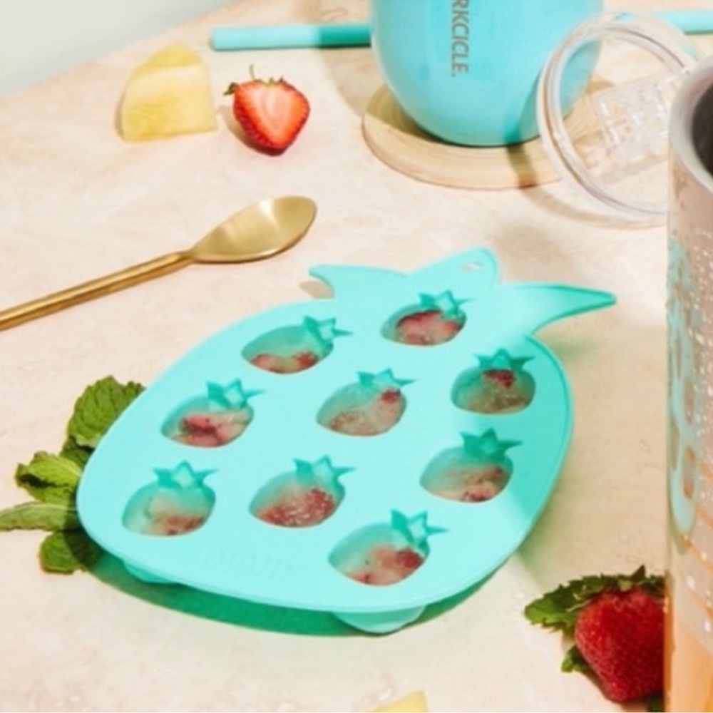 Blush Pineapple Shaped Ice Mold NEW